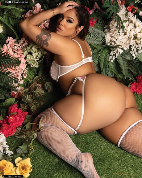 Scarlett Cakez