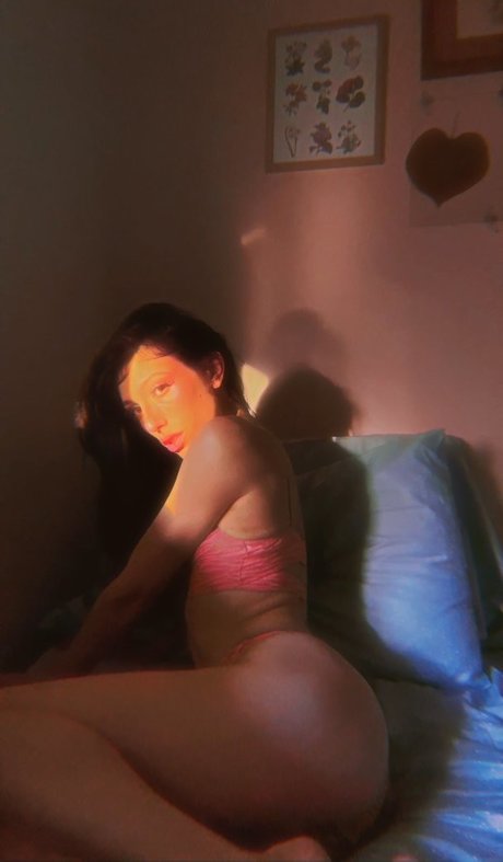 Ellecakes