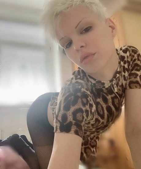 Blonditwink