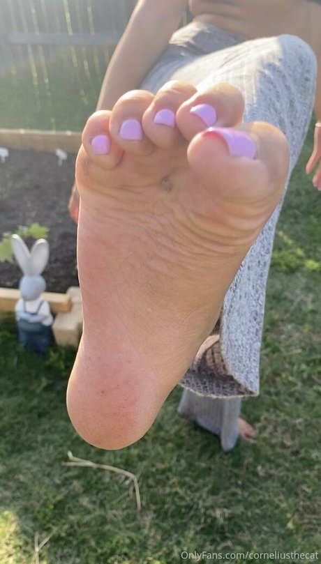 Naken läckt OnlyFans-bild av Corneliusthecat