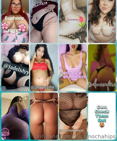 Thiccmochahips