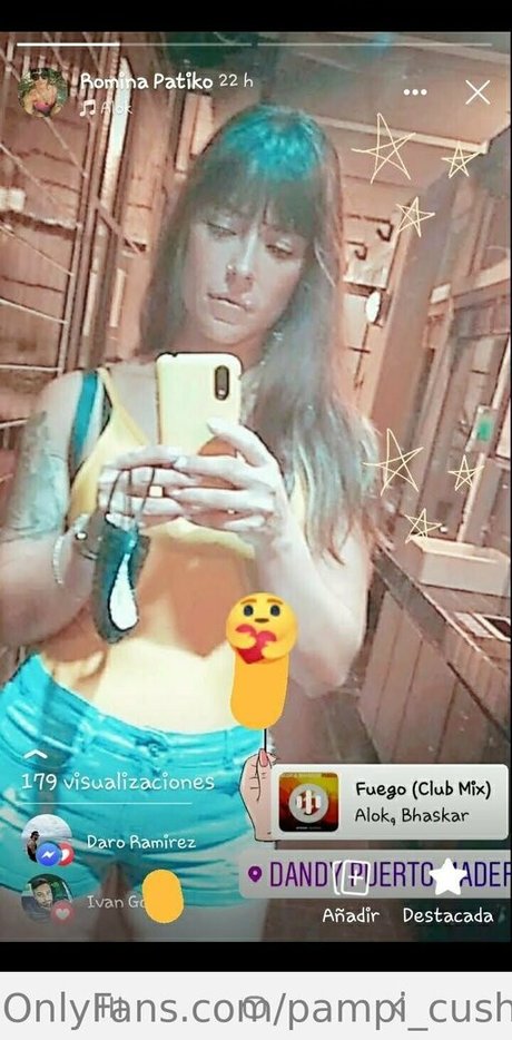 Pampi_cush
