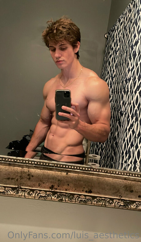 Luisaesthetics