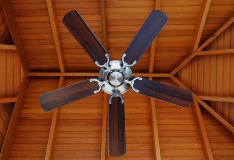 Only Fans