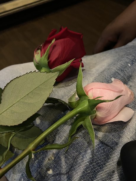 Naken läckt OnlyFans-bild av Blueyedcrush