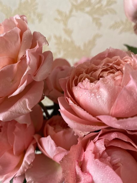 Naken läckt OnlyFans-bild av Ro