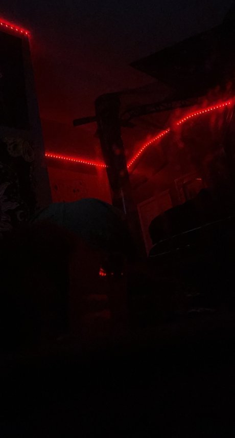 Pnkdraco