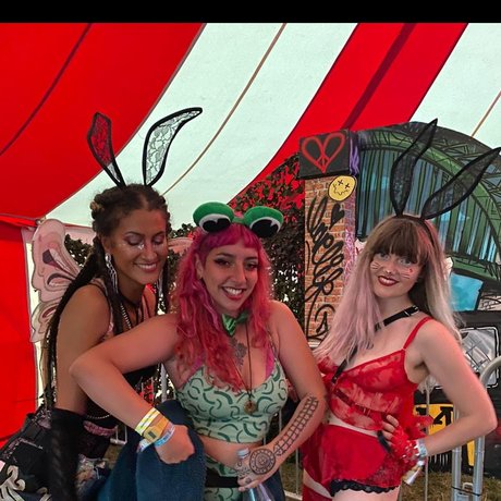 The Naughty Fairies 