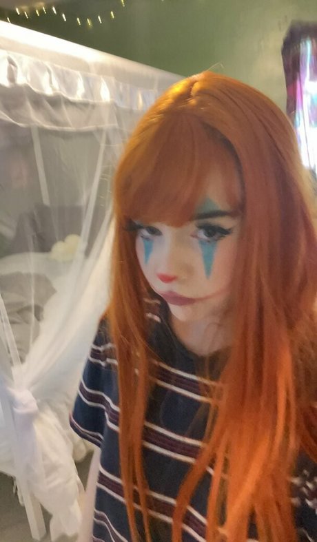 Shelbypng