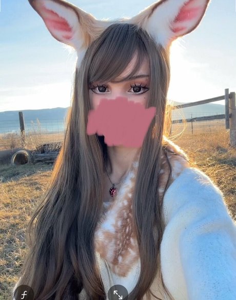 Kittypet