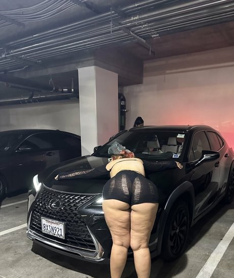 Sophialaurrren
