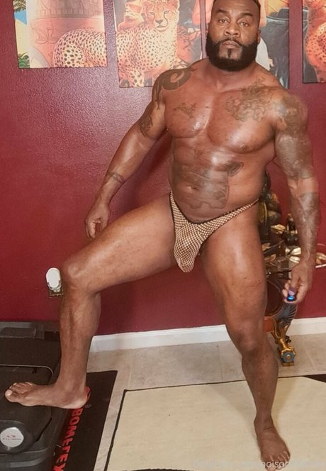 Toolsfreepage