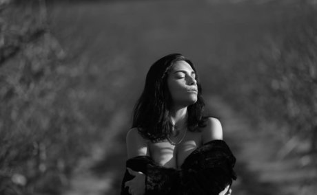 Adi Tal