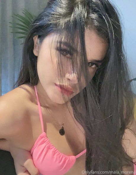 Malamorena
