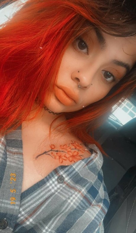 Emilyelixer