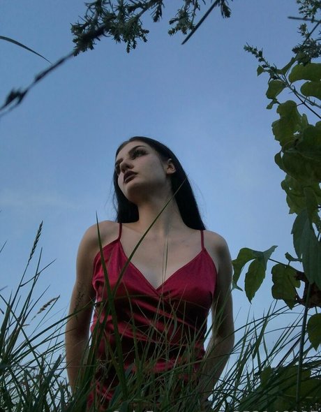Eveinwonderland  nude leaked OnlyFans photo