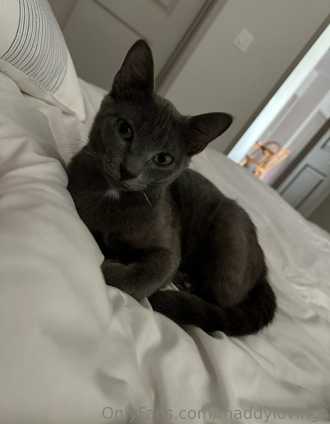 Maddylovings OnlyFans泄露裸照 #46