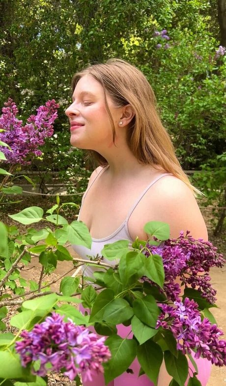 Curvykrysta