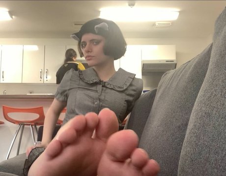 Thecutestkittycat