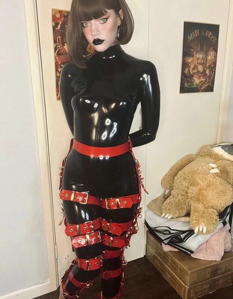 Thecutestkittycat