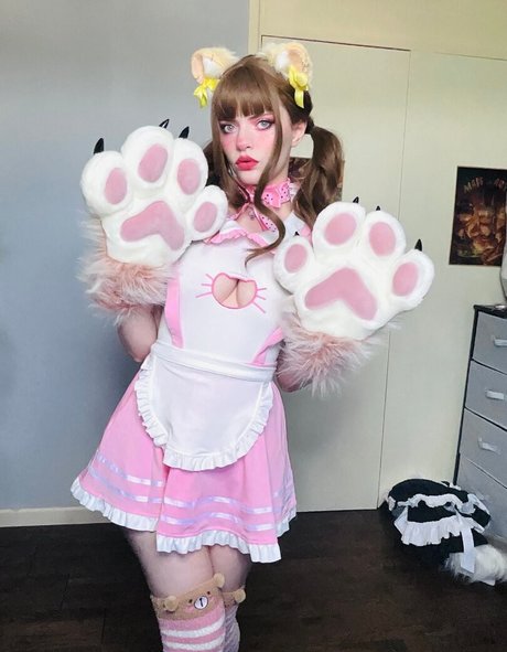 Thecutestkittycat