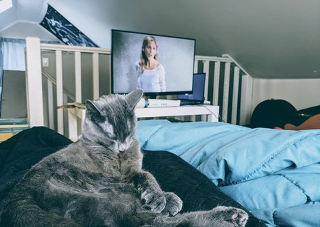 Themisssilverwitch OnlyFansリークヌード写真