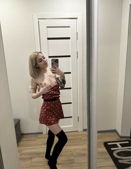 Slykorina