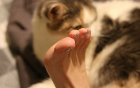 Msfeetsie OnlyFans 유출 누드 사진