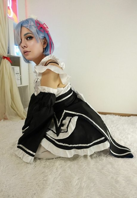Webkitty