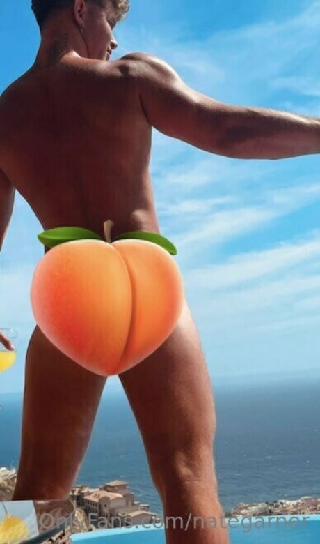 Nategarner
