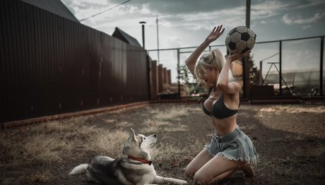 Wolffix