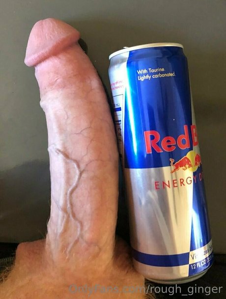 Roughginger