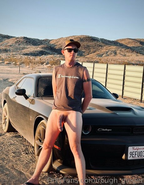 Roughginger