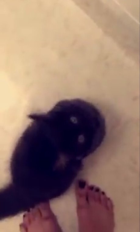 Trickywi