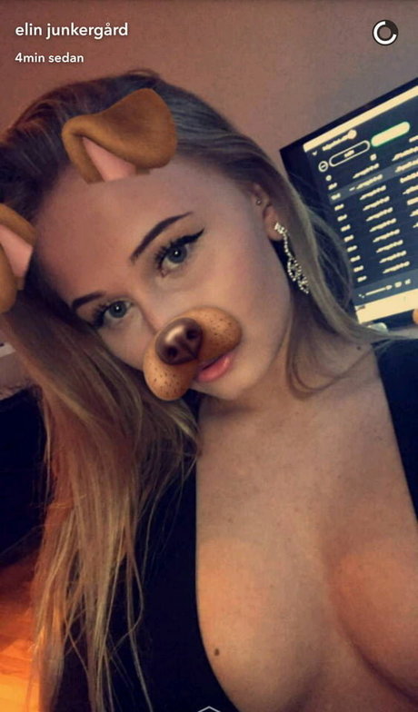 Elin Junkergard