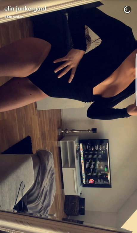 Elin Junkergard