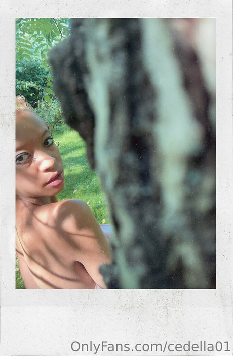 Cedella01