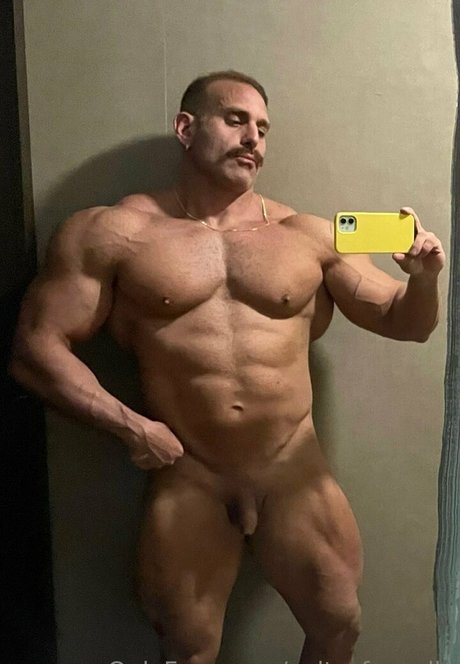 Cultofapollo