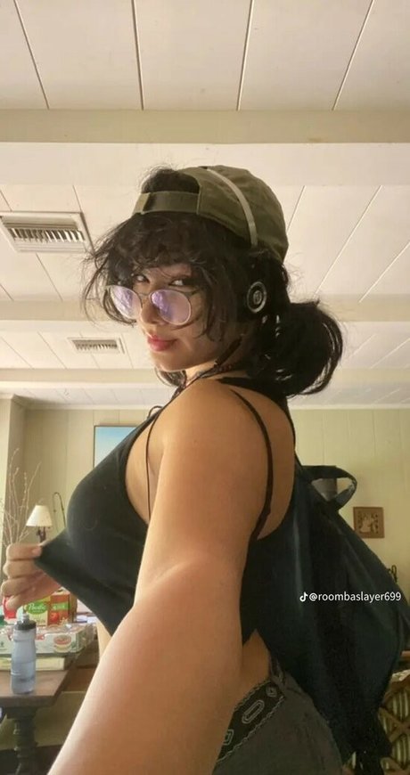 Roombaslayer69