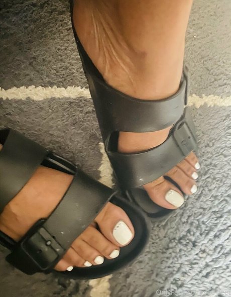 Veefeet