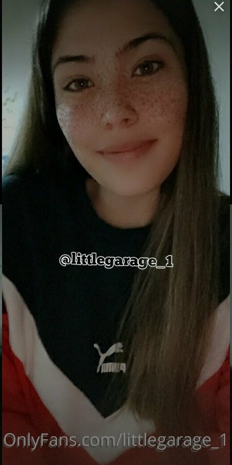 Littlegarage1