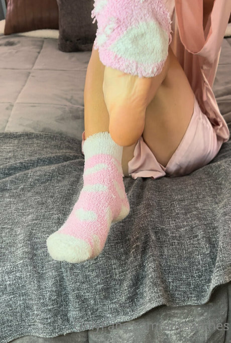 Allysarches