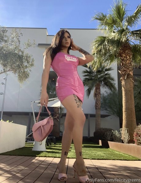 Thefelicityfox