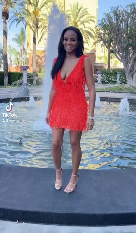 Naken lekkede OnlyFans-bilde av Meagan Tandy