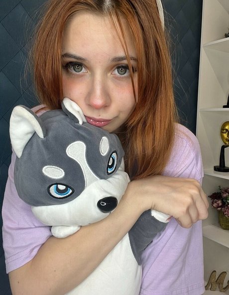 Dasharkiss