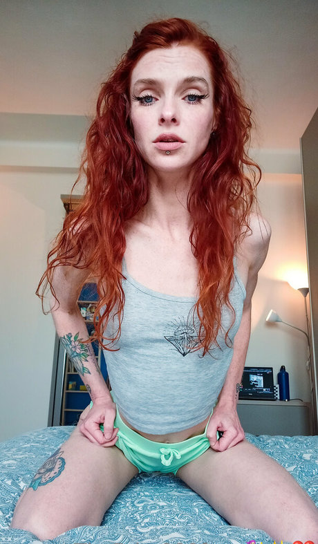 Thefairy999free