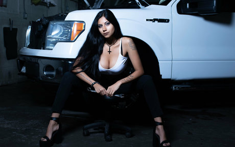 Bengalivixen