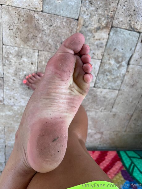 Pvz Feet