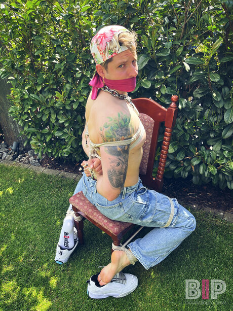Boundinprogress