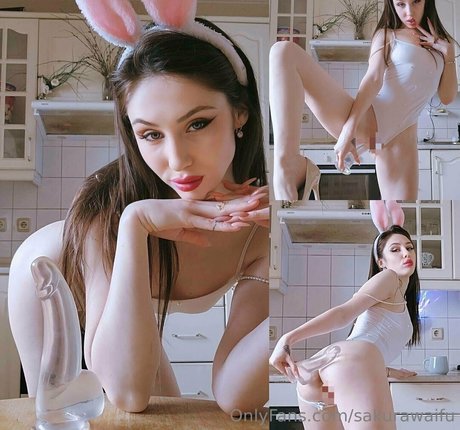 Sakurawaifu